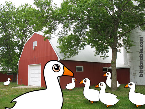 Birdorable Embden Geese