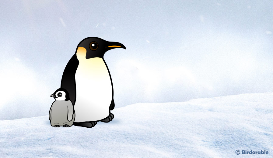 Emperor Penguin with chick