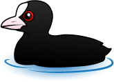 Birdorable Eurasian Coot