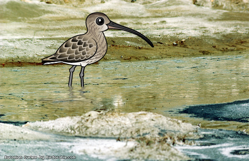 Birdorable Eurasian Curlew