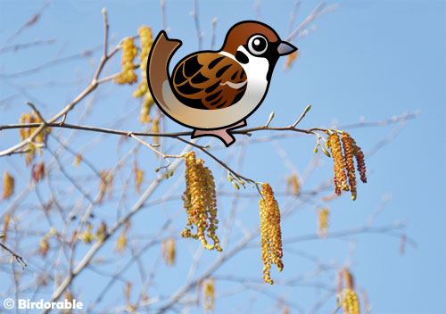 Cute Birdorable Eurasian Tree Sparrow