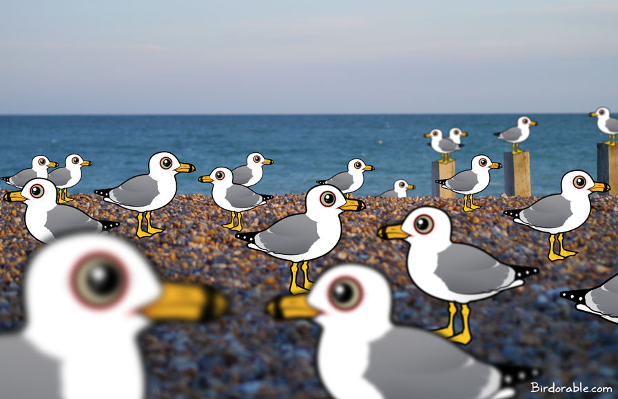 Birdorable Flock of Ring-billed Gulls