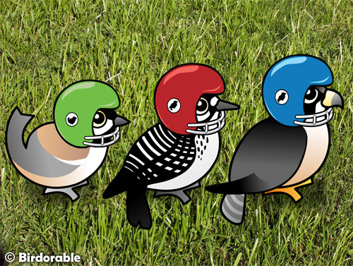 Birdorable Football