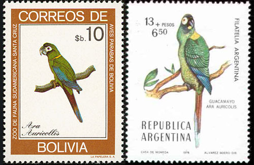 Golden-collared Macaw stamps