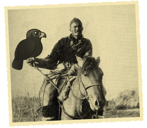 Birdorable Golden Eagle used for Falcony