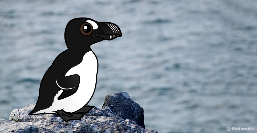 Birdorable Great Auk