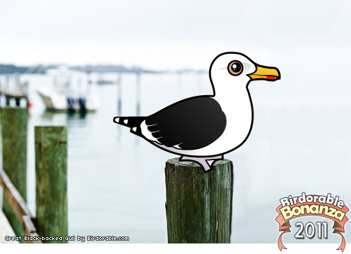 Great Black-backed Gull