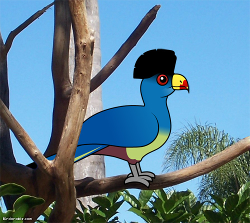 Birdorable Great Blue Turaco