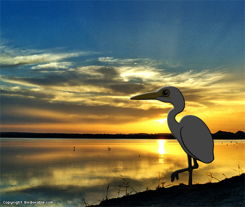 Cute Birdorable Great Egret