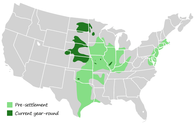 Greater Prairie Chicken Range