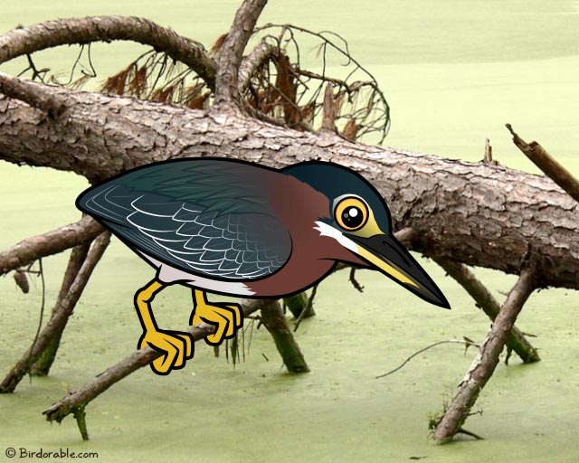 Birdorable Green Heron hunting