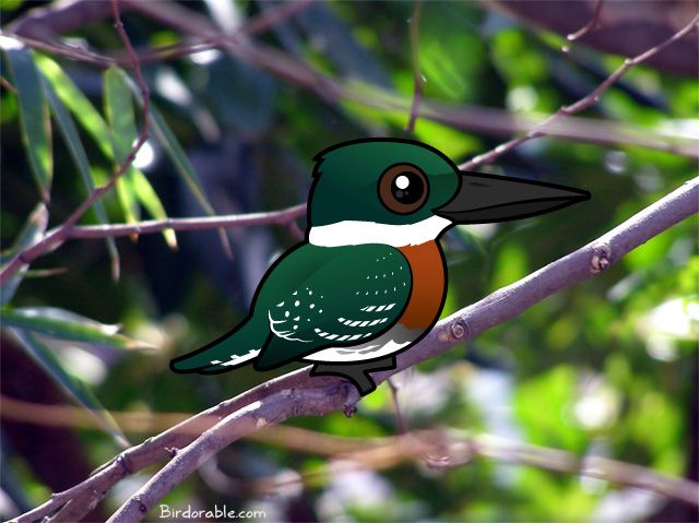 Birdorable Green Kingfisher