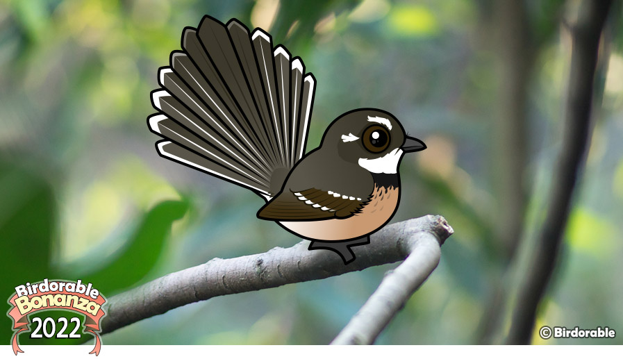 Birdorable Grey Fantail