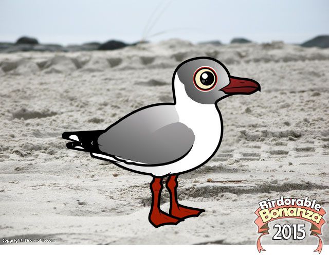 Birdorable Grey-hooded Gull