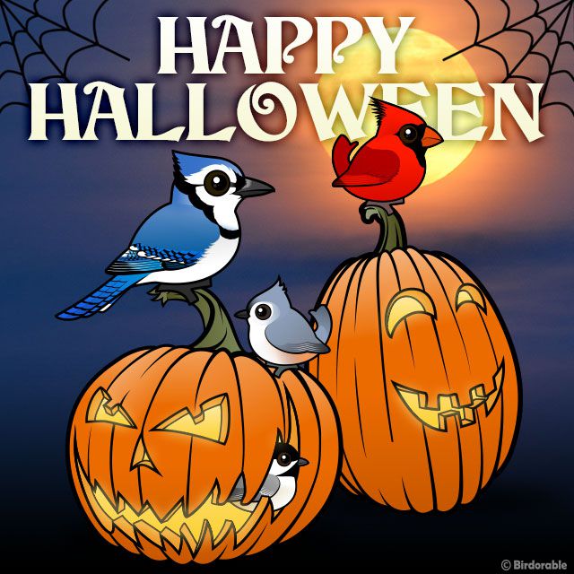 Happy Halloween with Cute Birdorable Backyard Birds