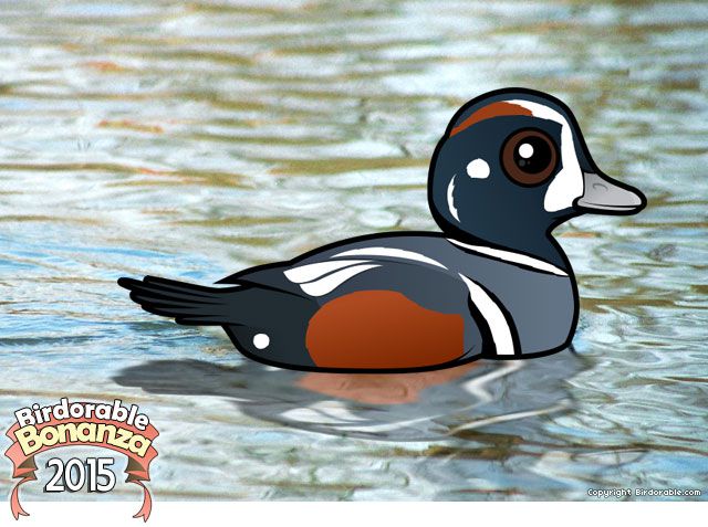 Birdorable Harlequin Duck