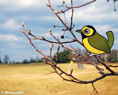 Birdorable Hooded Warbler