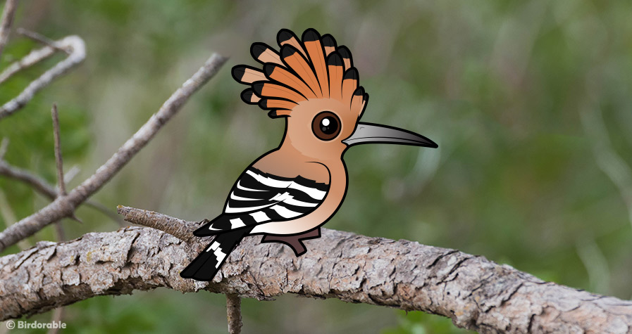 Birdorable Hoopoe