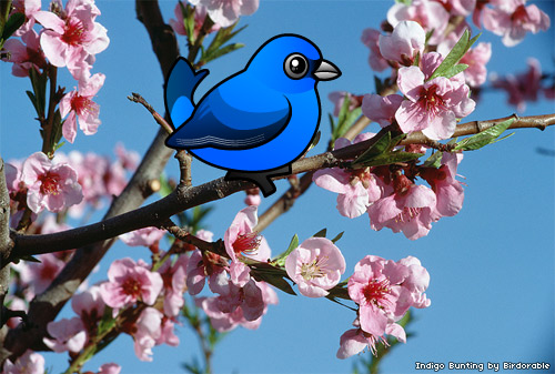 Birdorable Indigo Bunting