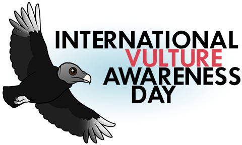 International Vulture Awareness Day with Birdorable Black Vulture