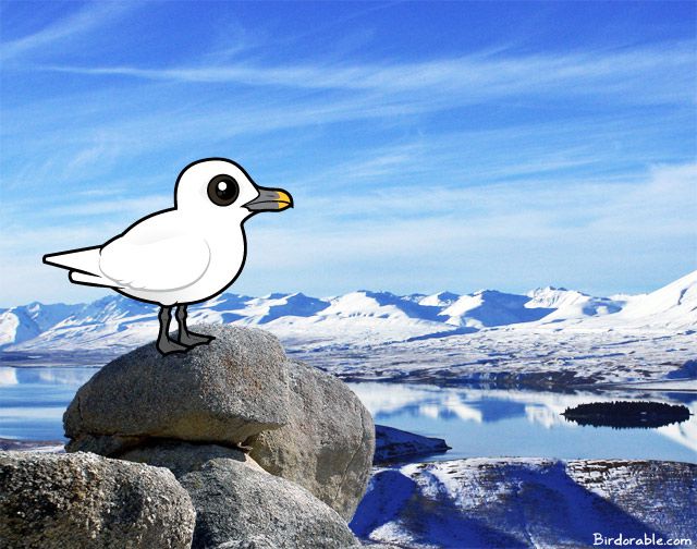 Birdorable Ivory Gull