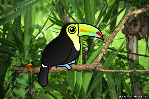 Birdorable Keel-billed Toucan