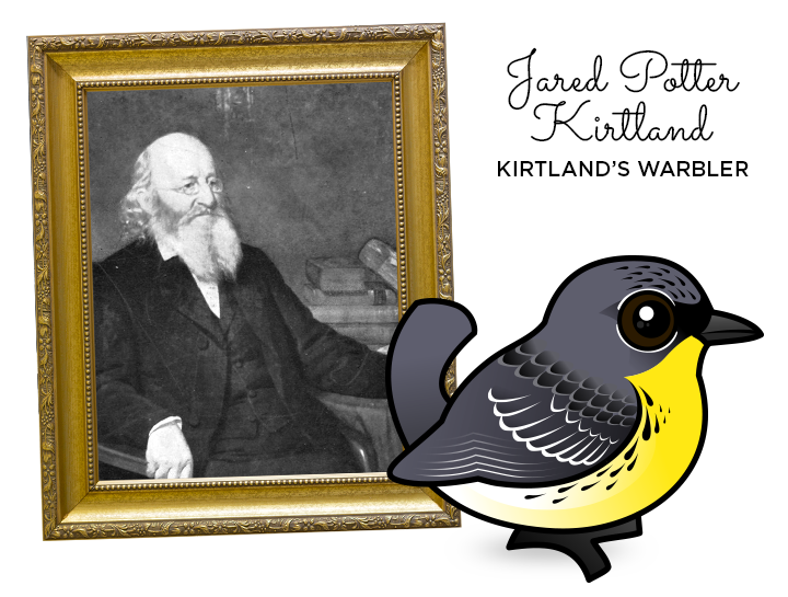 Kirtland's Warbler named after Jared P. Kirtland