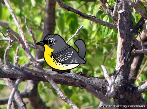 Birdorable Kirtland's Warbler