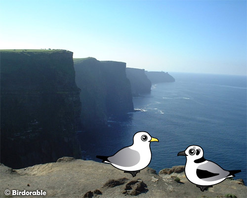 Birdorable Black-legged Kittiwake