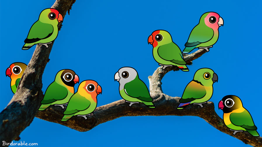 Birdorable Lovebirds on a branch