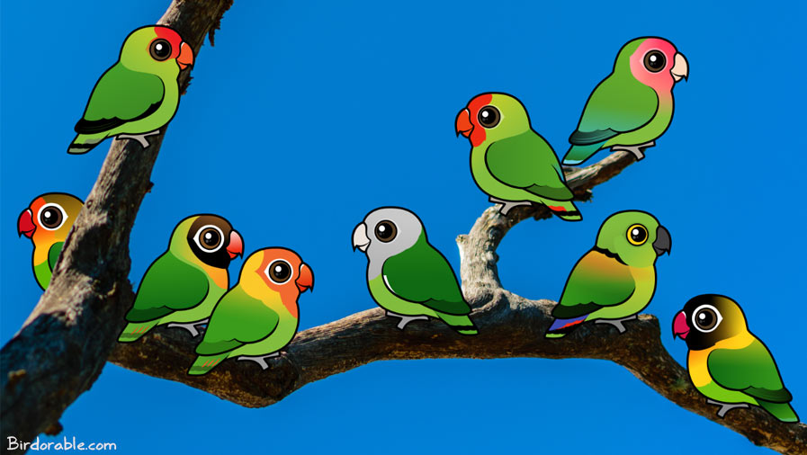 Birdorable birds of prey Cute animal drawings, Animal facts, Animals wild