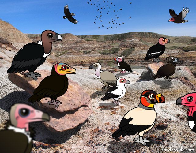 Scene with Birdorable vultures from around the world