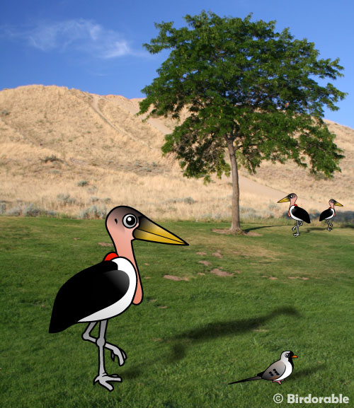 Birdorable Marabou Stork
