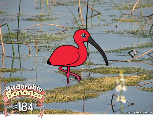 Cute Birdorable Scarlet Ibis