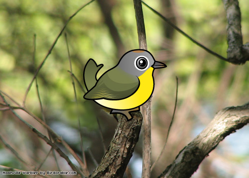 Birdorable Nashville Warbler