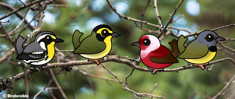 Birdorable warblers