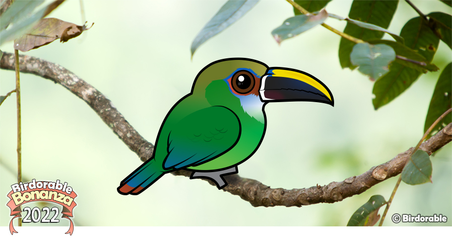 Birdorable Northern Emerald Toucanet