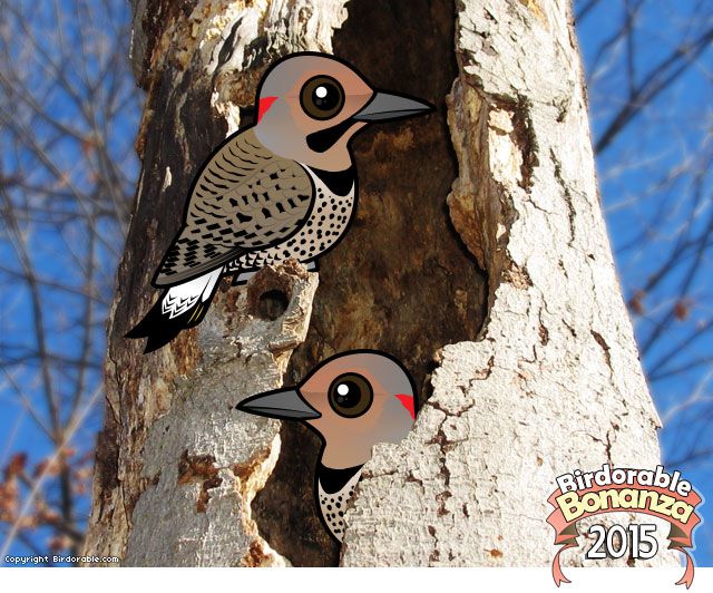 Birdorable Northern Flicker