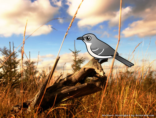 Birdorable Northern Mockingbird Birdorable Northern Mockingbird