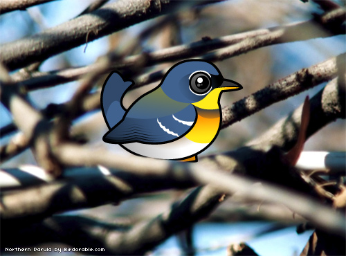 Birdorable Northern Parula