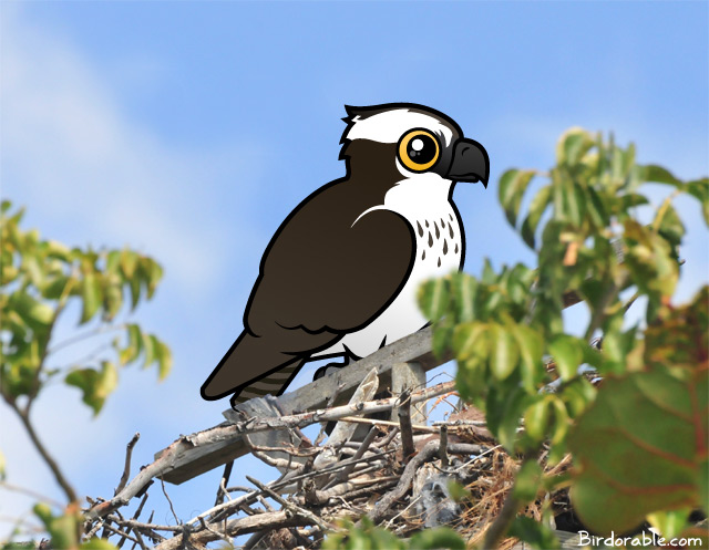 Birdorable Osprey