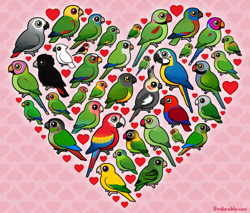 Birdorable Parrot Heart
