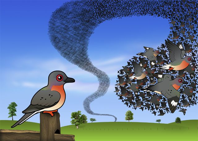 Billions of Passenger Pigeons