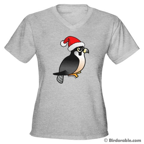 Santa Peregrine Falcon