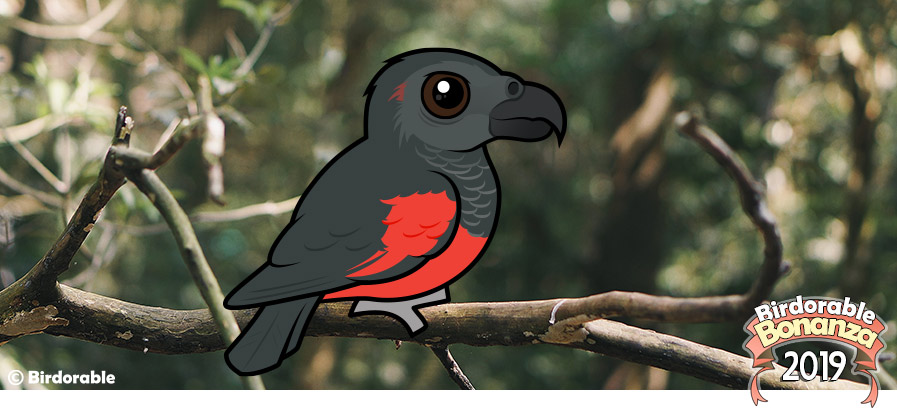 Birdorable Pesquet's Parrot