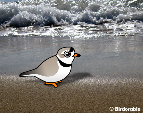 Birdorable Piping Plover