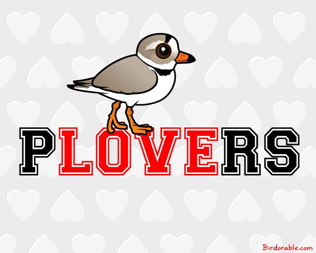 Birdorable Piping Plover on Word