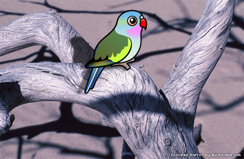 Birdorable Princess Parrot