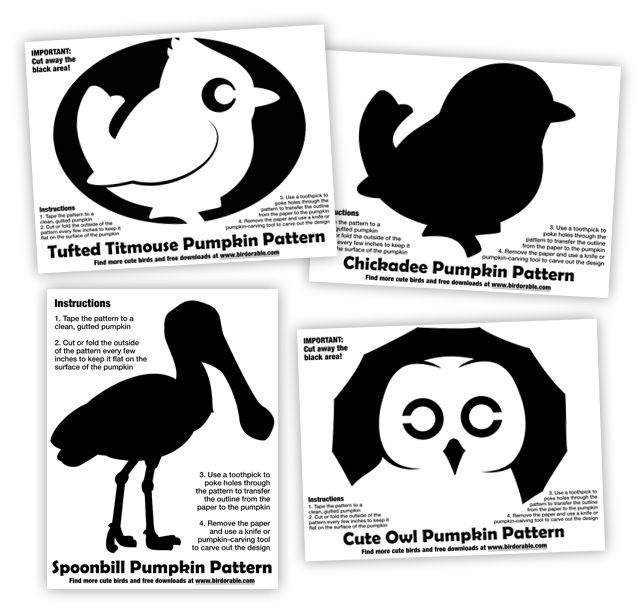 Birdorable Bird Pumpkin Patterns