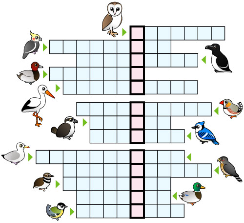 Birdorable Puzzle
